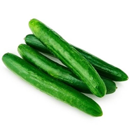 Cucumber-japanese-